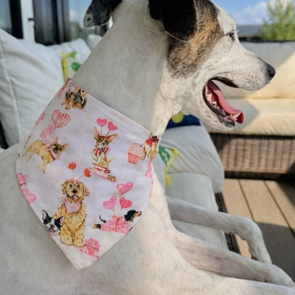 Cute Dog Print Bandana